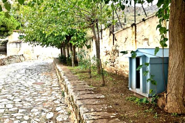 Η Υδραϊκή Κιβωτός πρόσφερε και τοποθέτησε νέα φυτά στον εξωτερικό χώρο του γηπέδου