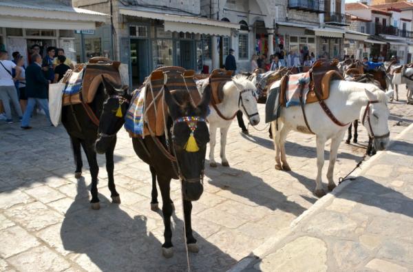 Υδραϊκή Κιβωτός:  Το χρονικό ενός στεγάστρου και δύο γουρνών