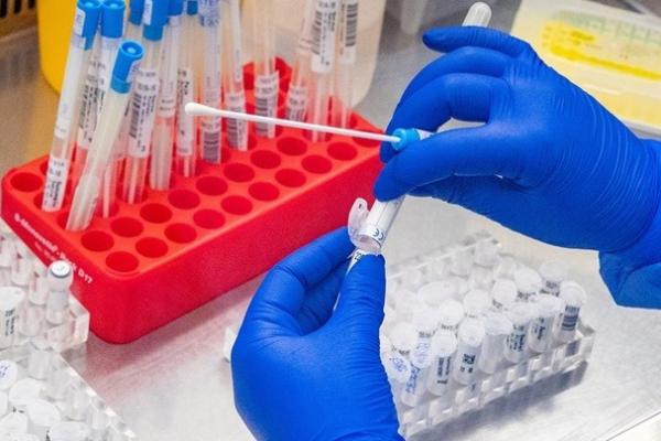 Πανδημικό κύμα  με πολύ ήπια χαρακτηριστικά από τις υποπαραλλαγές του κορωνοϊού