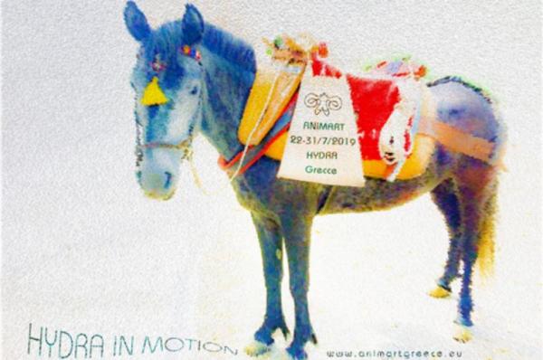 ANIMART 2019 : Κάλεσμα Εθελοντών για εκδηλώσεις και δράσεις (22-31 Ιουλίου)