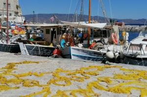 Καταχώρηση Αλιευτικών Σκαφών της Ύδρας στην Διεύθυνση Αγροτικής Οικονομίας, Κτηνιατρικής και Αλιείας