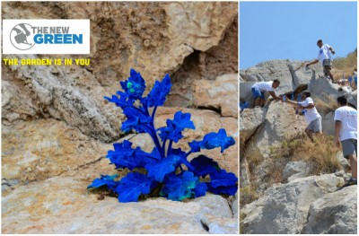 To νέο πράσινο της Μαρίας Τσάγκαρη σε μια εγκατάσταση στους βράχους της Ύδρας