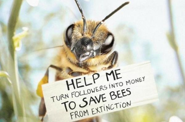 «B», ο πρώτος  influencer για μέλισσες στον κόσμο