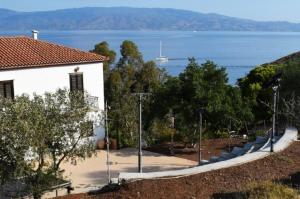 Hydrama Theatre 2026 | Το πρόγραμμα των παραστάσεων του Φεστιβάλ Θεάτρου στον Βλυχό