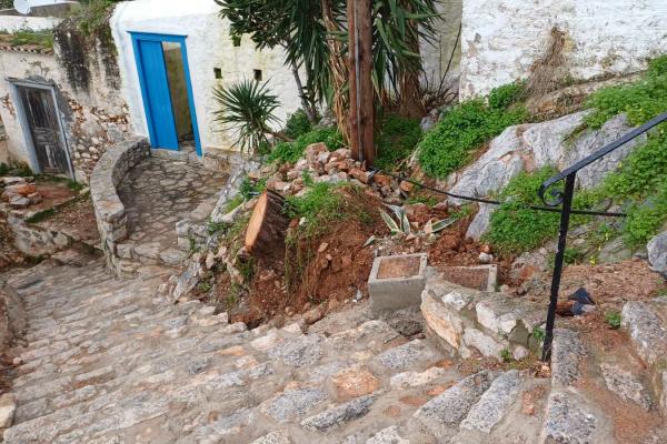 Τι εξελίξεις  υπάρχουν μετά την πτώση του πεύκου σε δημοτικό χώρο της Ύδρας