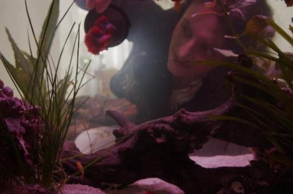 Στην Ανθή Δαουτάκη το Βραβείο Καλύτερης Ταινίας του 1ου Διεθνούς Φεστιβάλ Ταινιών Μικρού Μήκους «Θόδωρος Αγγελόπουλος»