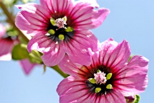 Την άνοιξη   αν δεν την βρεις... την φτιάχνεις!