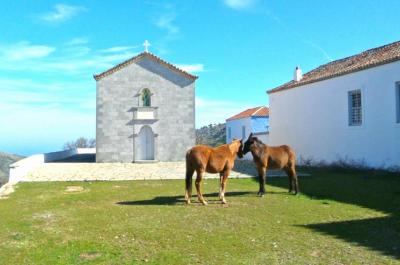 Σιωπή πολύτιμη ! Hχηρή για όσους μπορούν και θέλουν να την αφουγκραστούν...