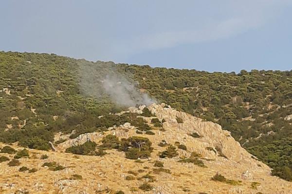 Φωτιά στην Ύδρα στην περιοχή Μπίστι