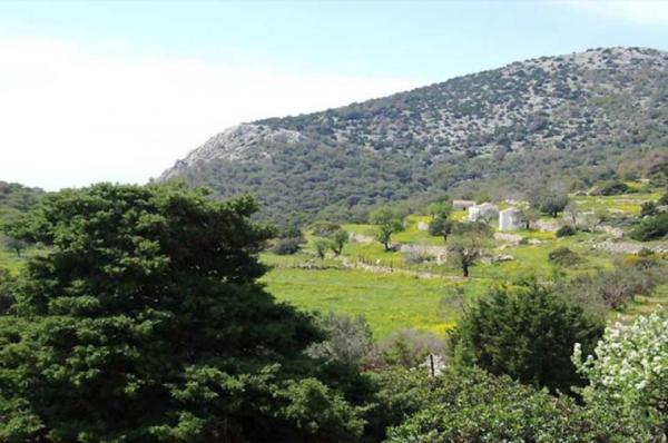 23,14 εκατ.  για πυροπροστασία σε όλους τους δήμους της χώρας - 40.000 ευρώ για τον δήμο Ύδρας