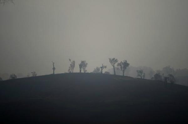 Αυστραλία: Ποια είναι η κατάσταση με τις πυρκαγιές - 4,8 εκατομμύρια στρέμματα έγιναν στάχτη (γράφημα)