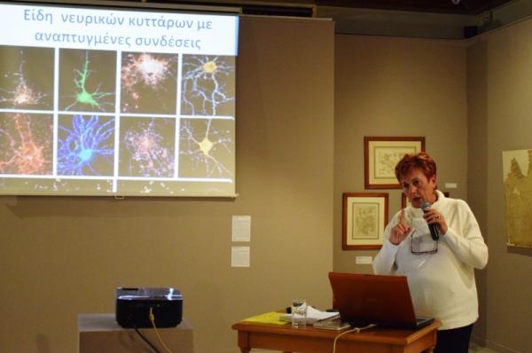Πραγματοποιήθηκε στο ΙΑΜΥ η ενημερωτική διάλεξη για τη δομή και τη λειτουργία του ανθρώπινου εγκεφάλου