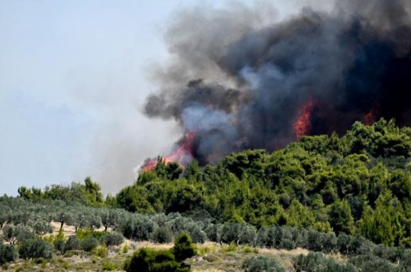 Μεγάλη φωτιά  σε δασική έκταση στην περιοχή του Αγίου Βλάση Σοφικού στην Κορινθία