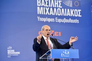 Τη μεγάλη νίκη της Ν.Δ. στις Ευρωεκλογές βλέπει ο υποψήφιος Ευρωβουλευτής της Ν.Δ, Βασίλης Μιχαλολιάκος