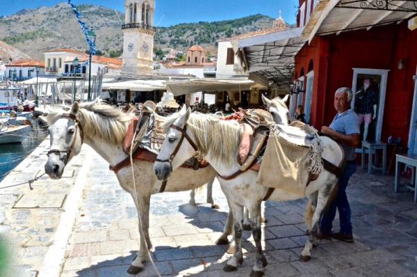 "Ο πλούτος  της Ύδρας. Τα φορτιάρικα ζώα" από το Greek Gastronomy Guide