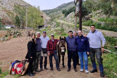 Δήμος Ύδρας | Ετήσιο πρόγραμμα φροντίδας ιπποειδών – 58 ζώα έλαβαν περίθαλψη