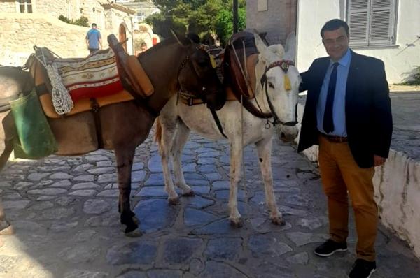 Απάντηση Γ. Κουκουδάκη στο δημοσίευμα του in.gr για τα ιπποειδή της Ύδρας