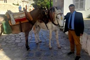 Απάντηση Γ. Κουκουδάκη στο δημοσίευμα του in.gr για τα ιπποειδή της Ύδρας