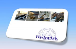Απολογισμός και νέοι στόχοι της «Υδραϊκής Κιβωτού»
