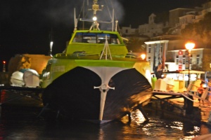 Προσάραξη ιπτάμενου δελφινιού στα Τσελεβίνια