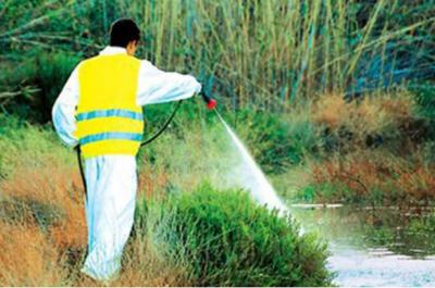 Γ. Πατούλης:  Διευρύνουμε και ενισχύουμε με επιπλέον δράσεις το πρόγραμμα καταπολέμησης των κουνουπιών