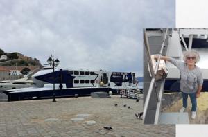 Δωρεάν μεταφορά  με την Alpha Lines για ασυνόδευτα αδέσποτα ζώα που χρήζουν περίθαλψης