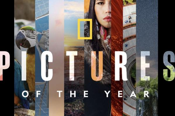 Οι φωτογραφίες  της χρονιάς από το National Geographic