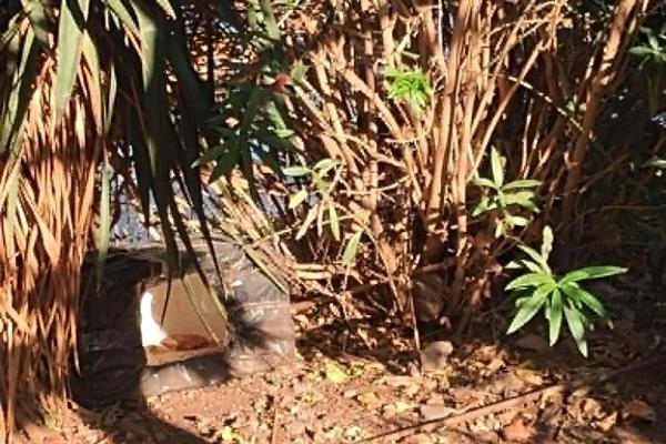 Από την ανάπλαση  στην εγκατάλειψη των δύο κήπων πρασίνου της Ύδρας - Μια μαρτυρία που προβληματίζει