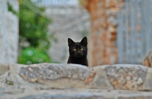 Μια αποτρόπαιη πράξη επιζητά απαντήσεις