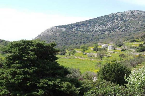 16,9 εκ. ευρώ σε 326 δήμους για δράσεις πυροπροστασίας - 18.000 ευρώ στον Δήμο Ύδρας