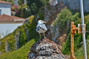 Κάθε καλοκαίρι μας θυμούνται...