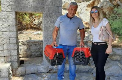 Η Αντιδήμαρχος Ύδρας Μαίρη Κάτσικα ευχαριστεί όσους συνέβαλαν στο να υιοθετηθούν τα 5 κουταβάκια