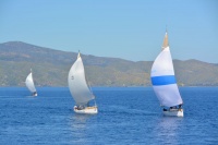 Καλοκαιρινός εκπαιδευτικός αγώνας 1st SAILING TRAINING CUP