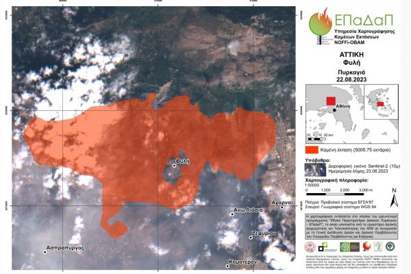 Κάηκαν 617.000 στρέμματα στην πυρκαγιά στον Έβρο και 50.000 στη Φυλή