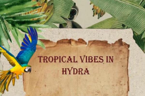 Tropical Vibes  στον Παπαγάλο με την Β' Λυκείου Ύδρας!