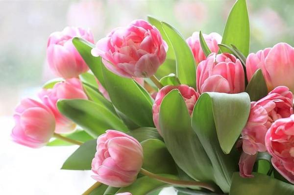 Μειώστε το άγχος με ένα μπουκέτο λουλούδια!