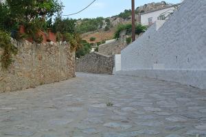 Καταγγελία για αδέσποτο μεγαλόσωμο σκυλί που κινείται στην περιοχή "Καλά Πηγάδια"